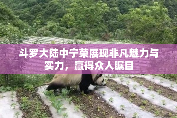 斗罗大陆中宁荣展现非凡魅力与实力，赢得众人瞩目