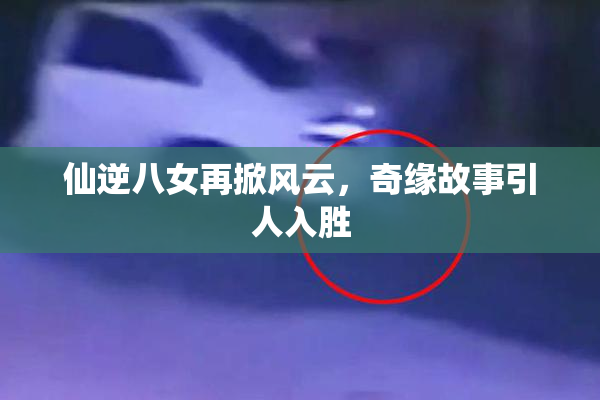 仙逆八女再掀风云，奇缘故事引人入胜
