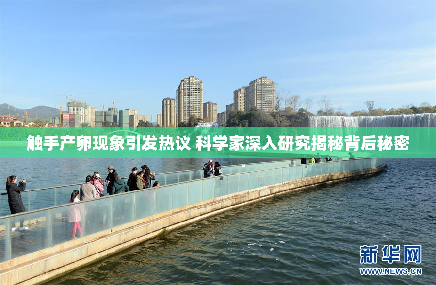 触手产卵现象引发热议 科学家深入研究揭秘背后秘密