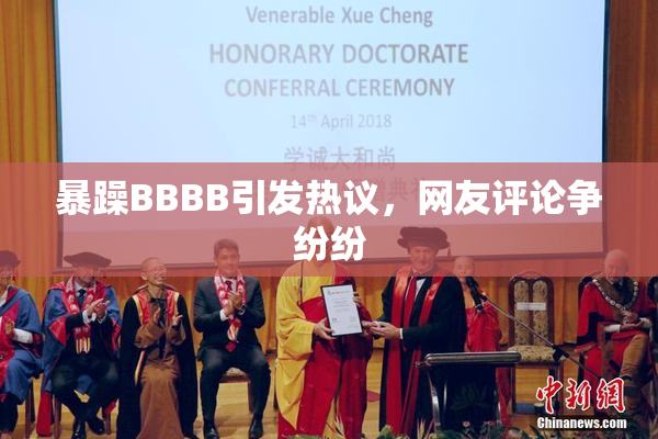 暴躁BBBB引发热议，网友评论争纷纷