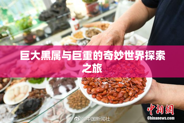 巨大黑属与巨重的奇妙世界探索之旅