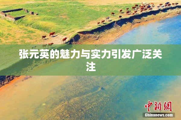 张元英的魅力与实力引发广泛关注