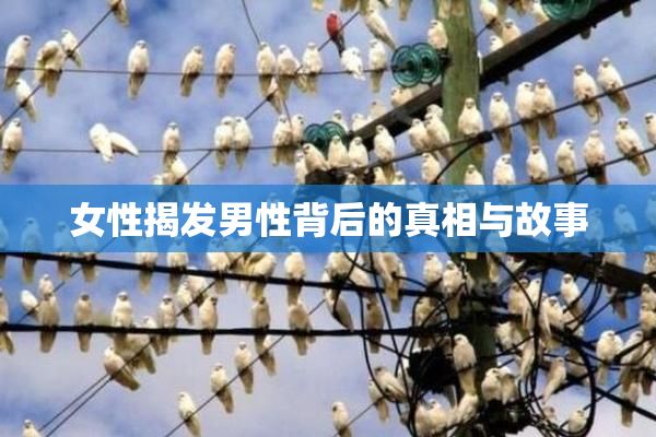 女性揭发男性背后的真相与故事