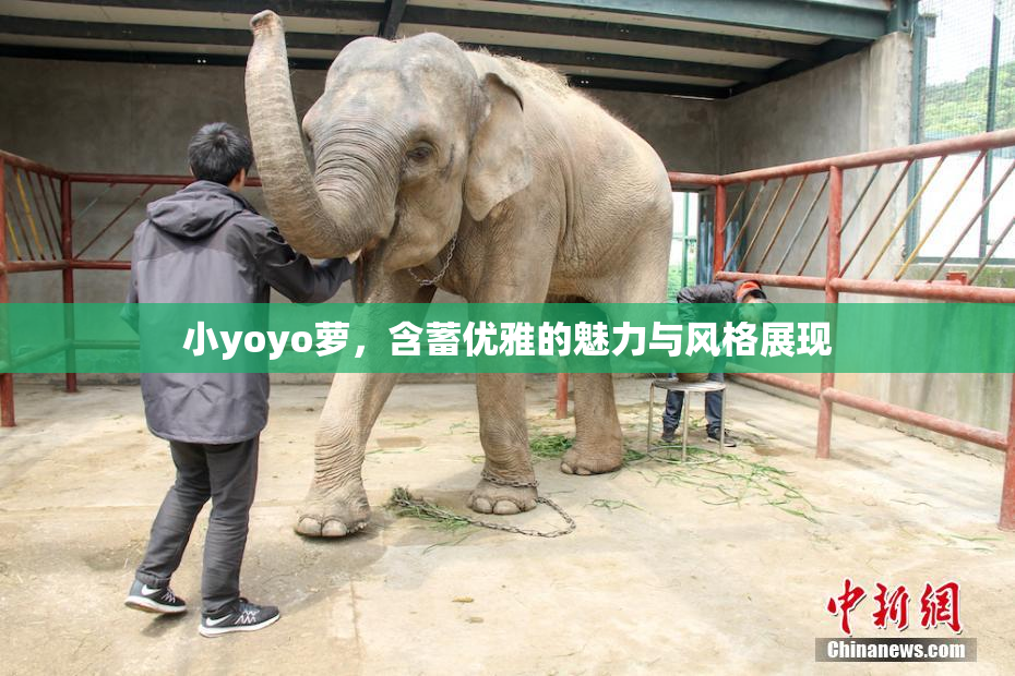 小yoyo萝，含蓄优雅的魅力与风格展现