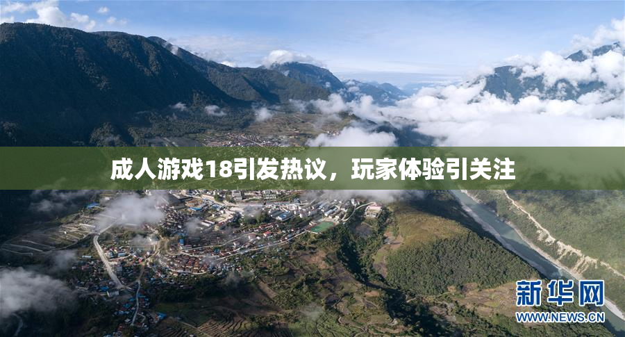 成人游戏18引发热议，玩家体验引关注