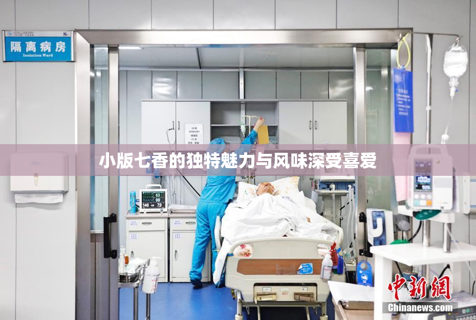 小版七香的独特魅力与风味深受喜爱