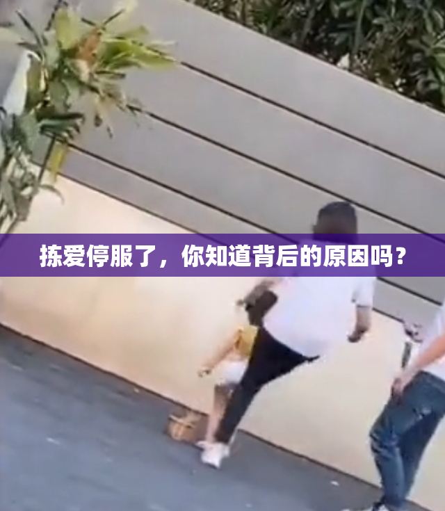 拣爱停服了，你知道背后的原因吗？