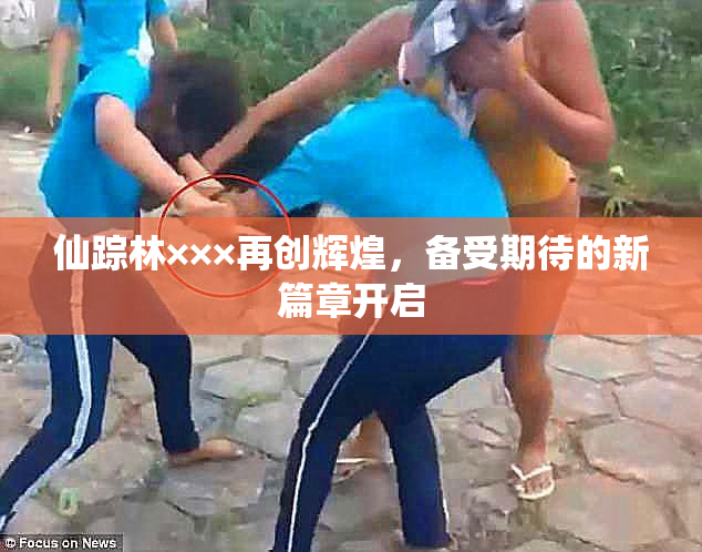 仙踪林×××再创辉煌，备受期待的新篇章开启