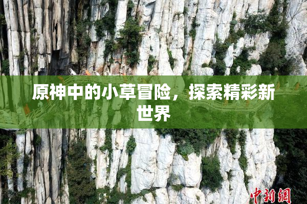 原神中的小草冒险，探索精彩新世界