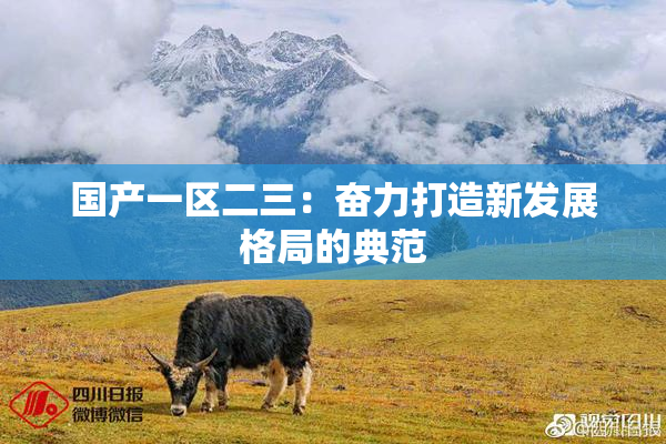 国产一区二三：奋力打造新发展格局的典范
