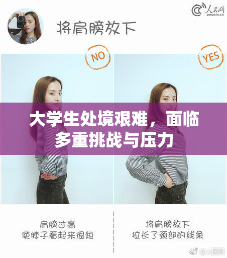 大学生处境艰难，面临多重挑战与压力