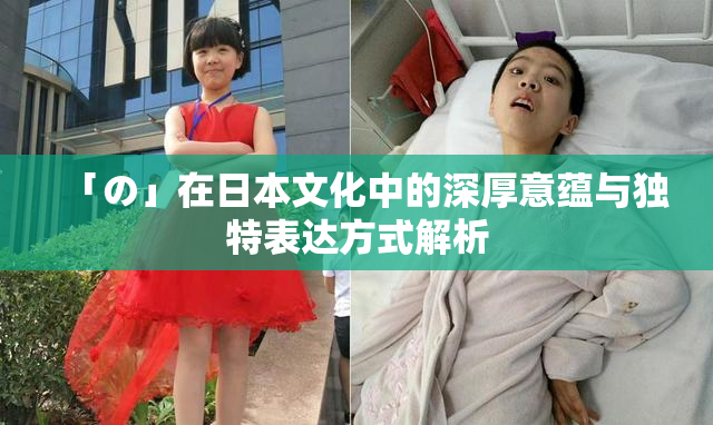 「の」在日本文化中的深厚意蕴与独特表达方式解析