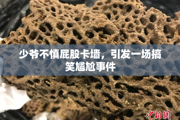 少爷不慎屁股卡墙，引发一场搞笑尴尬事件