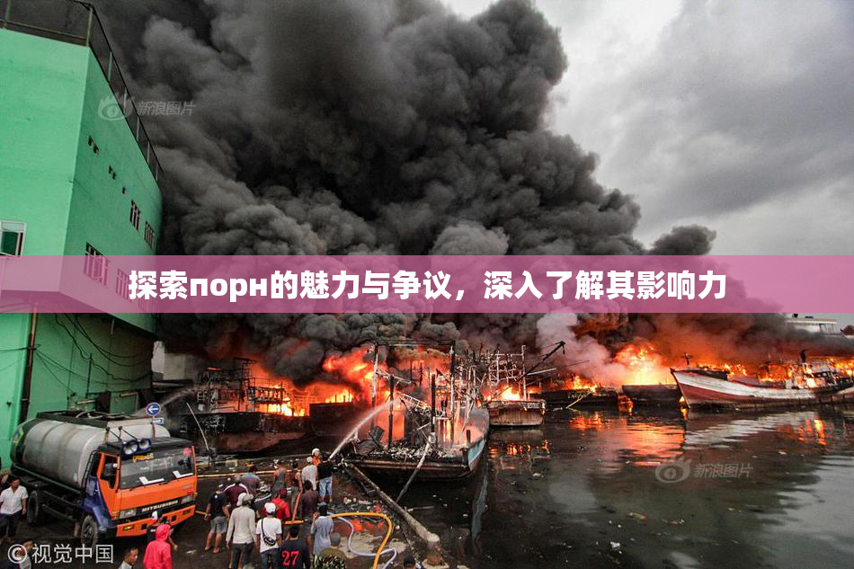 探索порн的魅力与争议，深入了解其影响力