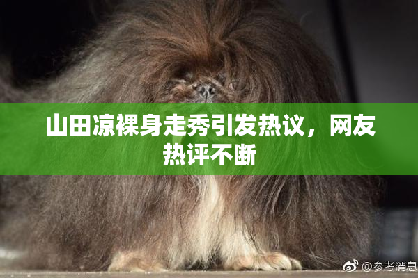 山田凉裸身走秀引发热议，网友热评不断