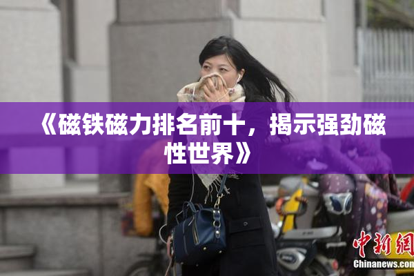 《磁铁磁力排名前十，揭示强劲磁性世界》