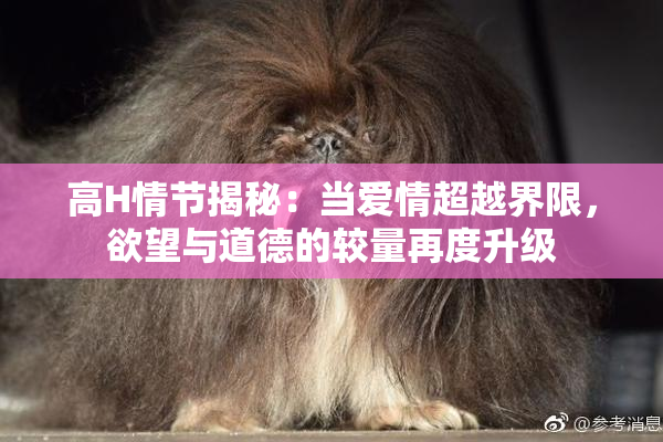 高H情节揭秘：当爱情超越界限，欲望与道德的较量再度升级