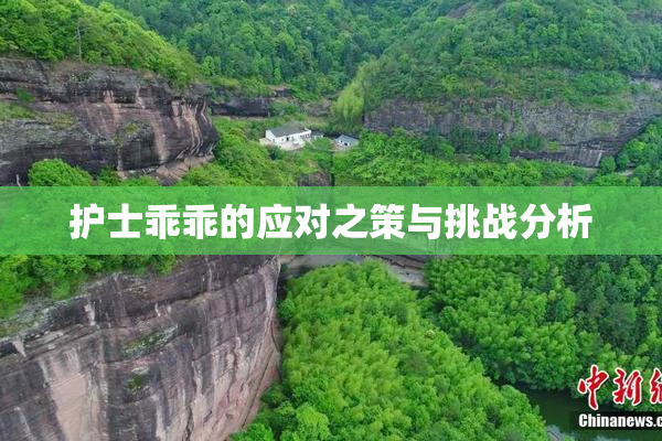 护士乖乖的应对之策与挑战分析