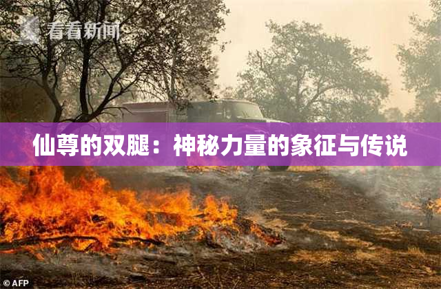 仙尊的双腿：神秘力量的象征与传说