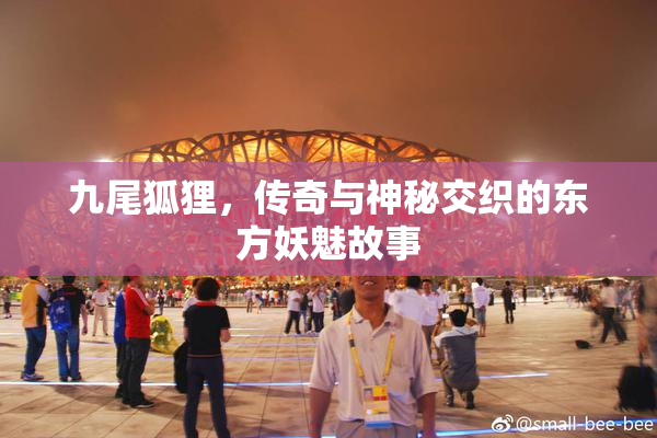 九尾狐狸，传奇与神秘交织的东方妖魅故事