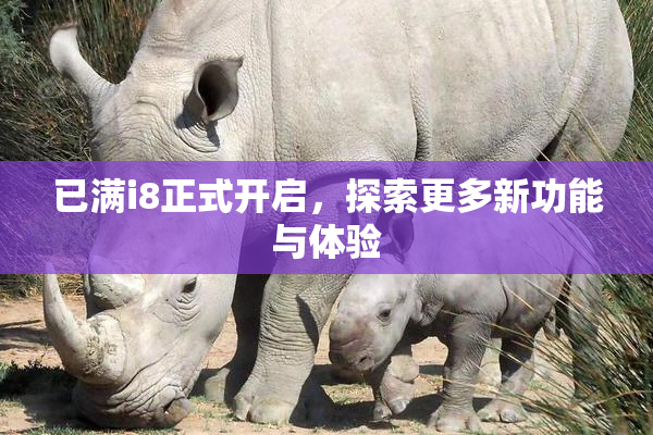 已满i8正式开启，探索更多新功能与体验