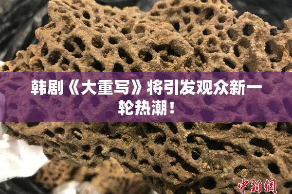 韩剧《大重写》将引发观众新一轮热潮！