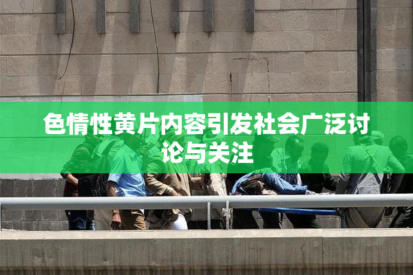 色情性黄片内容引发社会广泛讨论与关注