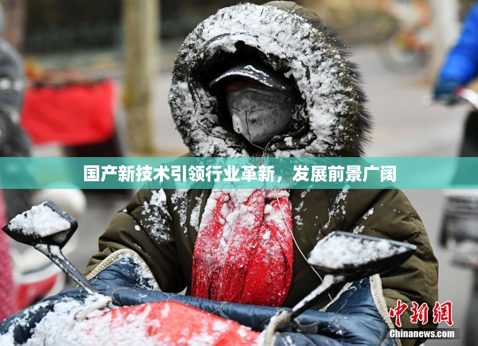 国产新技术引领行业革新，发展前景广阔