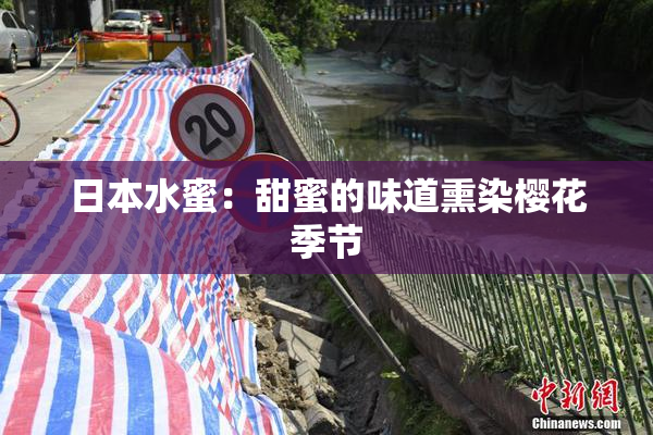 日本水蜜：甜蜜的味道熏染樱花季节