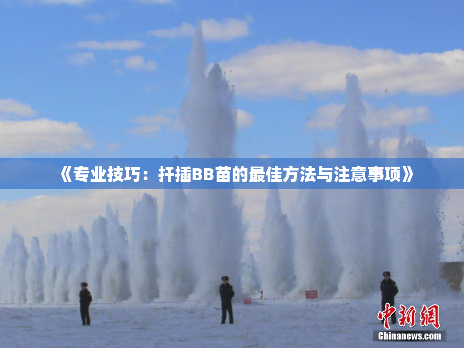 《专业技巧：扦插BB苗的最佳方法与注意事项》
