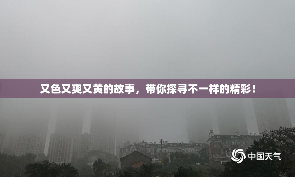 又色又爽又黄的故事，带你探寻不一样的精彩！
