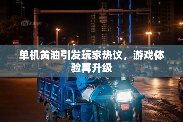 单机黄油引发玩家热议，游戏体验再升级