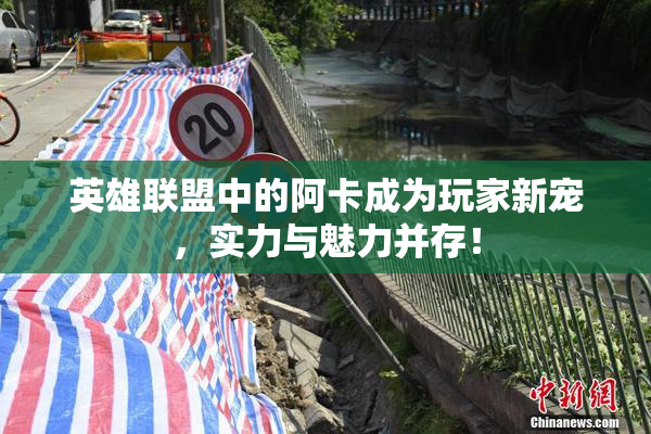 英雄联盟中的阿卡成为玩家新宠，实力与魅力并存！