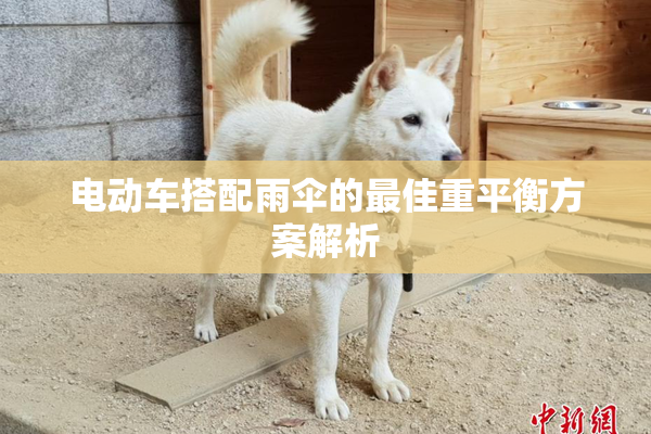 电动车搭配雨伞的最佳重平衡方案解析