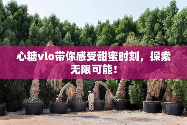 心糖vlo带你感受甜蜜时刻，探索无限可能！