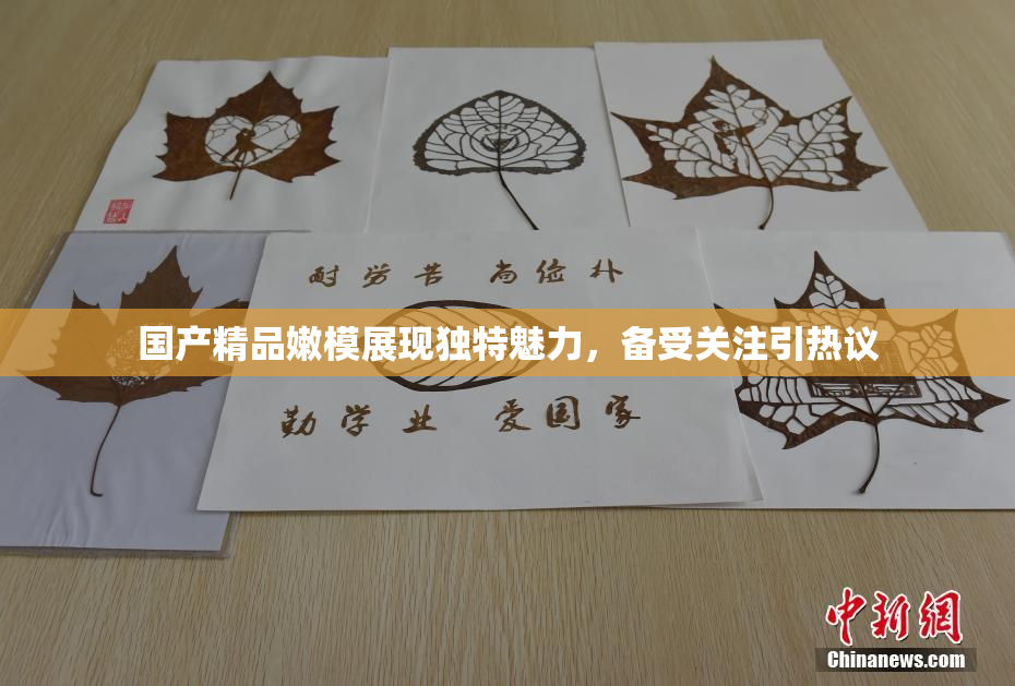 国产精品嫩模展现独特魅力，备受关注引热议
