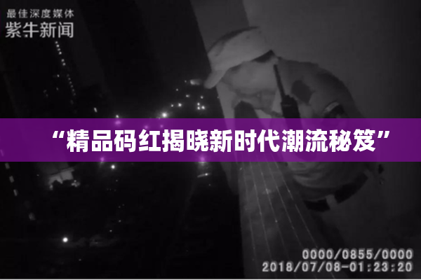 “精品码红揭晓新时代潮流秘笈”