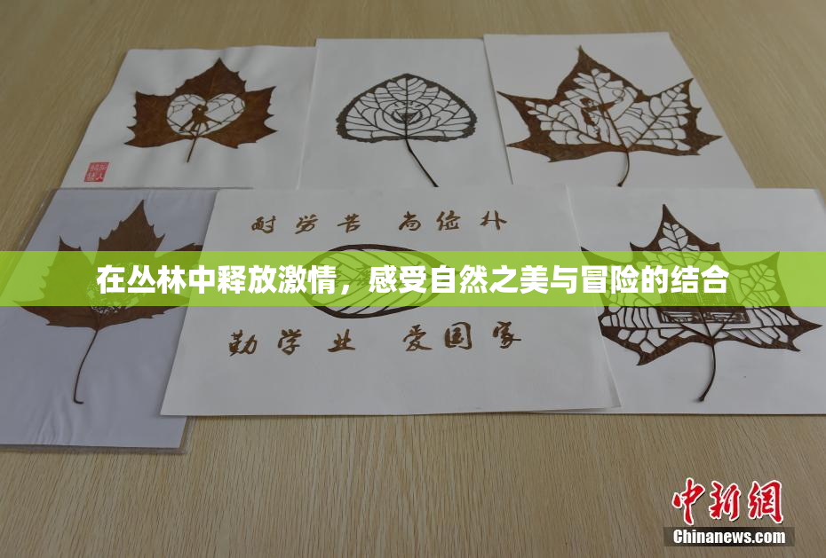 在丛林中释放激情，感受自然之美与冒险的结合