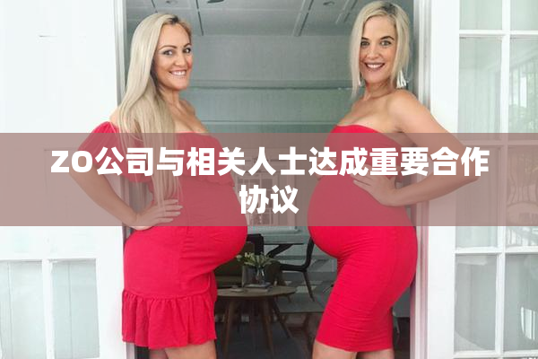 ZO公司与相关人士达成重要合作协议