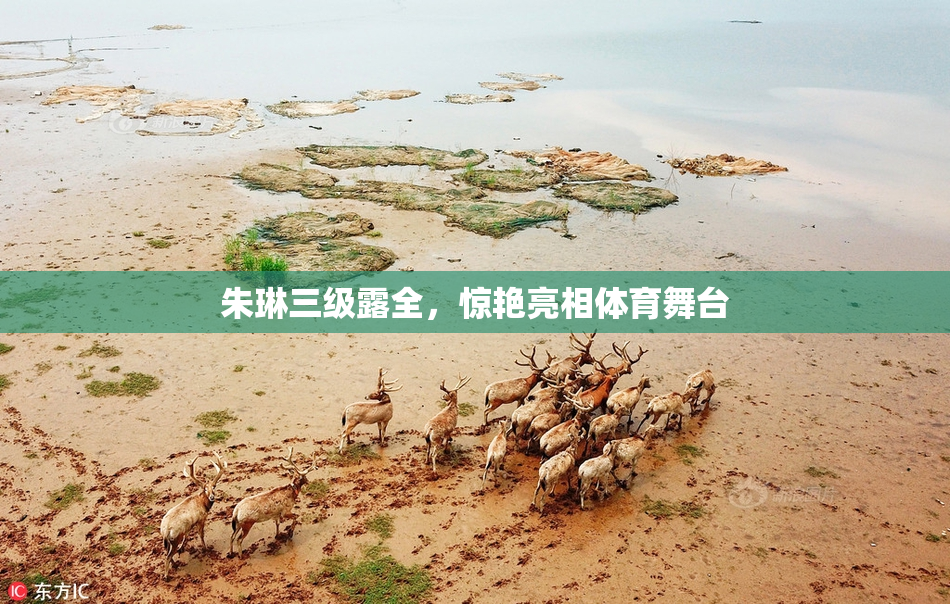 朱琳三级露全，惊艳亮相体育舞台