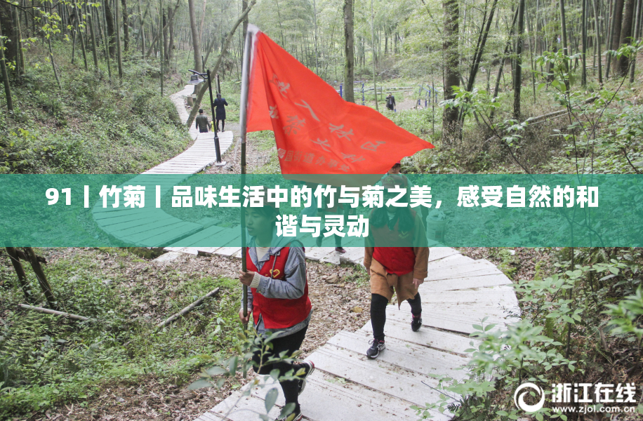 91丨竹菊丨品味生活中的竹与菊之美，感受自然的和谐与灵动