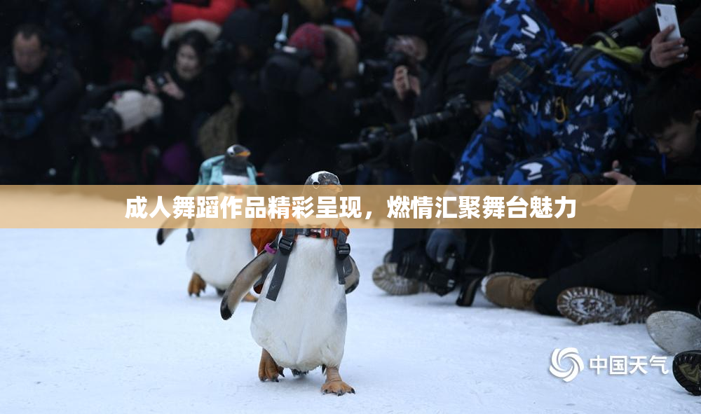 成人舞蹈作品精彩呈现，燃情汇聚舞台魅力