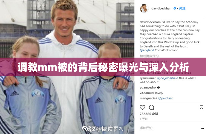 调教mm被的背后秘密曝光与深入分析