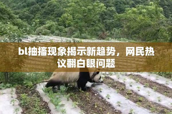 bl抽搐现象揭示新趋势，网民热议翻白眼问题