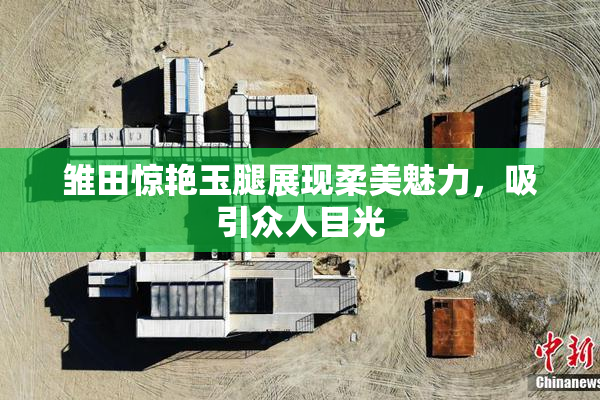 雏田惊艳玉腿展现柔美魅力，吸引众人目光