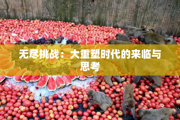无尽挑战：大重塑时代的来临与思考
