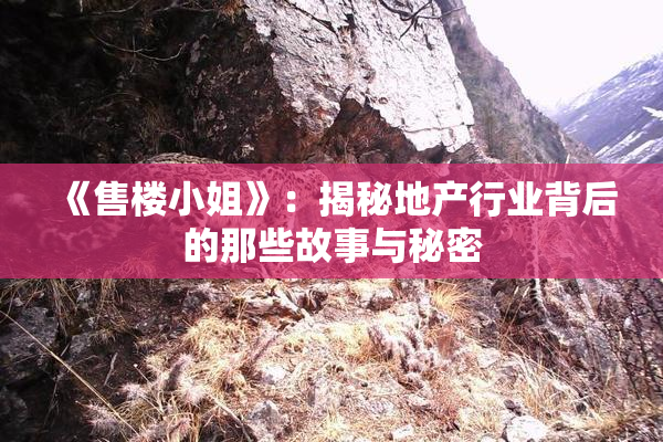《售楼小姐》：揭秘地产行业背后的那些故事与秘密