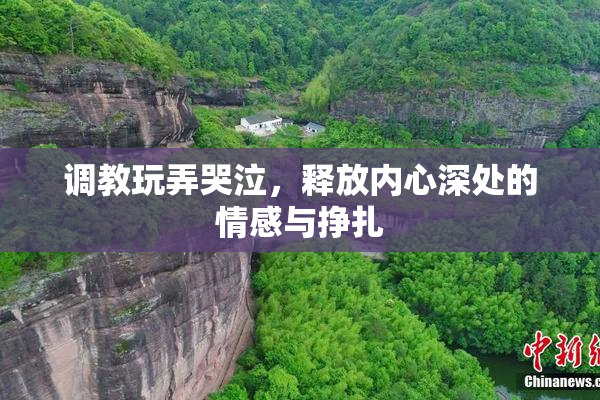 调教玩弄哭泣，释放内心深处的情感与挣扎