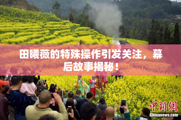 田曦薇的特殊操作引发关注，幕后故事揭秘！