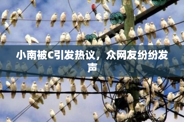 小南被C引发热议，众网友纷纷发声
